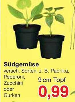 Südgemüse – verschiedene Sorten: z. B. Paprika, Peperoni, Zucchini oder Gurken