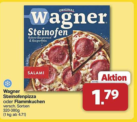Wagner Steinofenpizza oder Flammkuchen 320-380g
