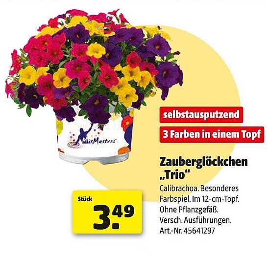 Zauberglöckchen „Trio“ - 3 Farben in einem Topf
