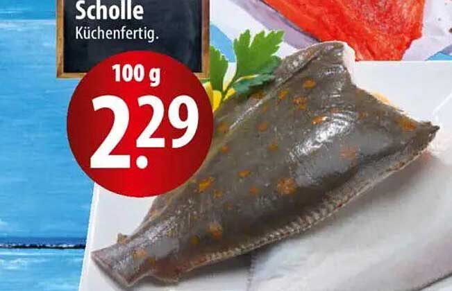 Scholle Küchenfertig