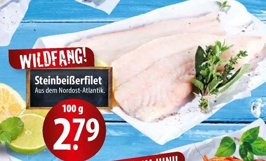 Steinbeißerfilet aus dem Nordost-Atlantik