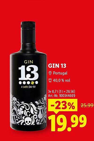 GIN 13