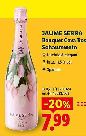 JAUME SERRA Bouquet Cava Rosé Schaumwein