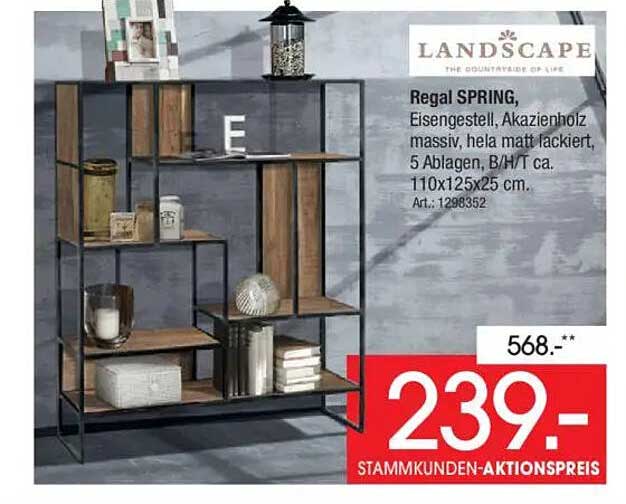 Regal SPRING aus Akazienholz und Eisen