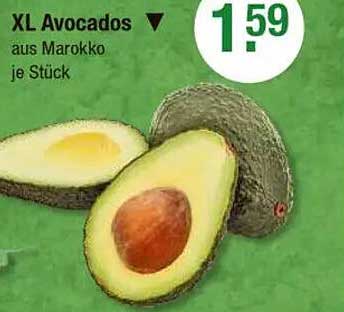 XL Avocados aus Marokko je Stück