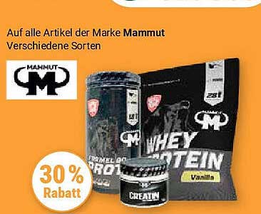 30% Rabatt auf alle Artikel der Marke Mammut – Verschiedene Sorten