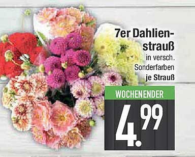 7er Dahlienstrauß in verschiedenen Sonderfarben je Strauß