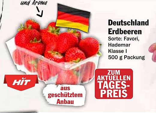 Deutschland Erdbeeren Sorte: Favori, Hademar Klasse I 500 g Packung
