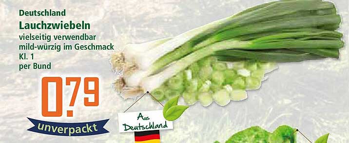 Deutschland Lauchzwiebeln vielseitig verwendbar mild-würzig im Geschmack Kl. 1 per Bund