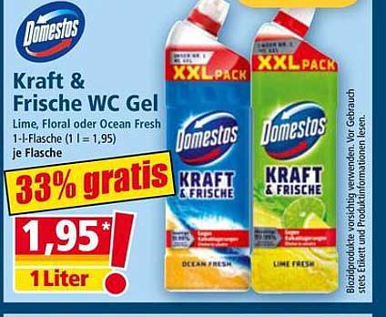 Domestos Kraft & Frische WC Gel – Lime, Floral oder Ocean Fresh