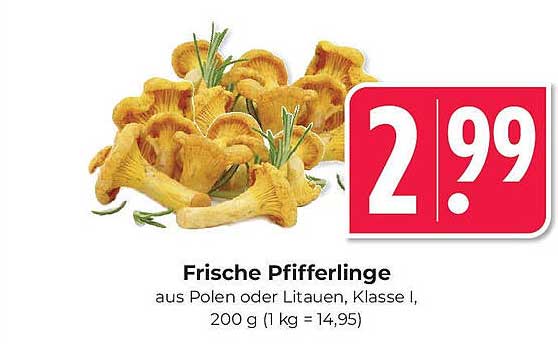 Frische Pfifferlinge aus Polen oder Litauen, Klasse I, 200 g