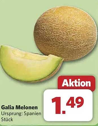 Galia Melonen - Frischer Genuss aus Spanien
