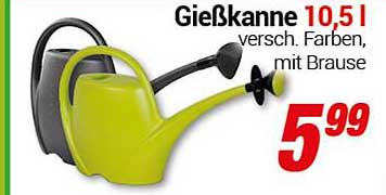 Gießkanne 10,5 l, verschieden Farben, mit Brause