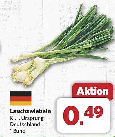 Lauchzwiebeln – frisch und knackig