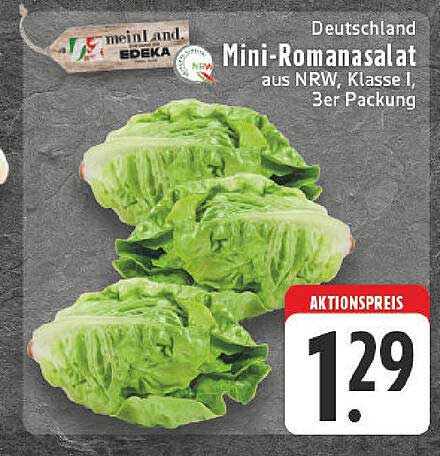 Mini-Romanasalat aus NRW, Klasse I, 3er Packung