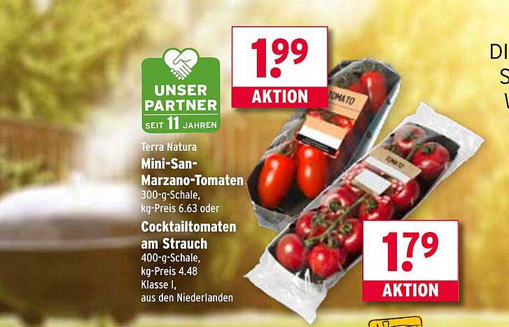 Mini-San-Marzano-Tomaten oder Cocktailtomaten am Strauch