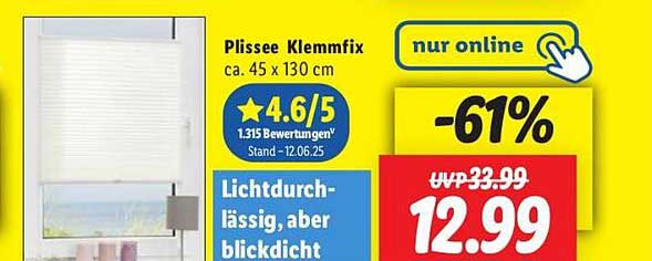 Plissee Klemmfix 45 x 130 cm - Lichtdurchlässig, aber blickdicht