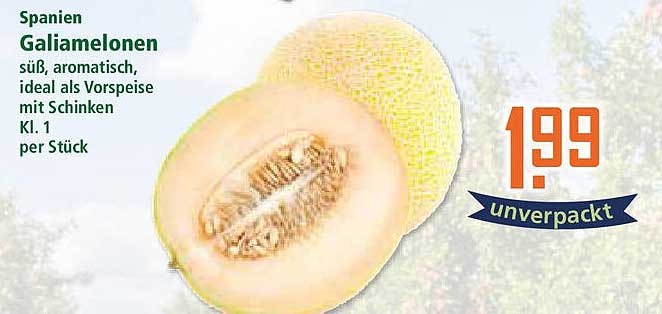 Spanien Galiamelonen – süß, aromatisch und ideal als Vorspeise mit Schinken