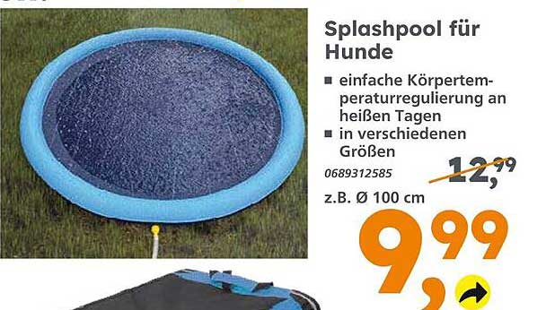 Splashpool für Hunde
