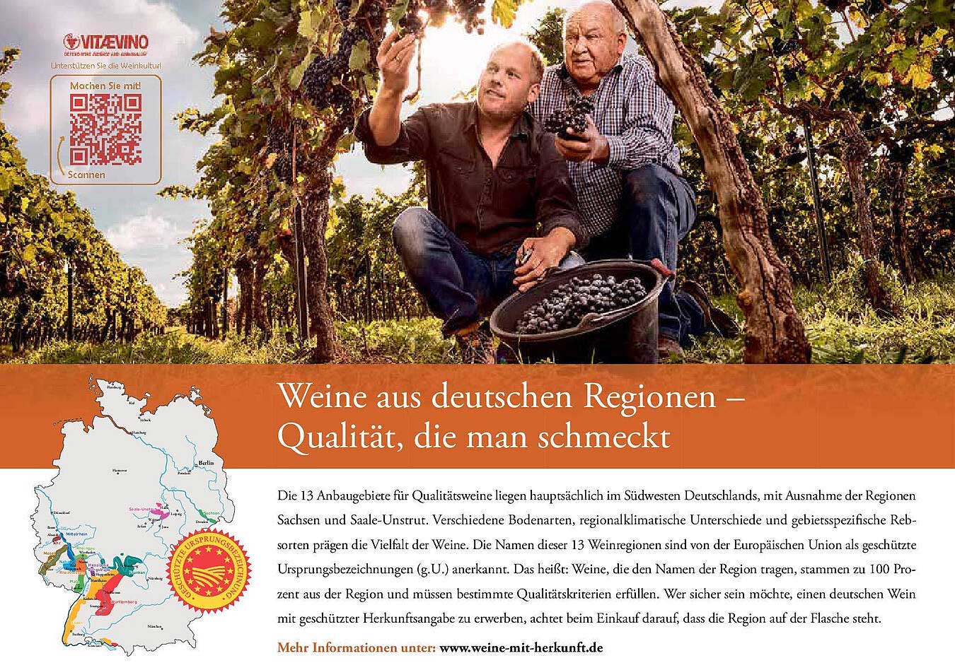 Weine aus deutschen Regionen – Qualität, die man schmeckt