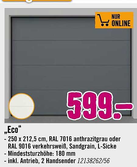 Garagentor "Eco" 250 x 212,5 cm