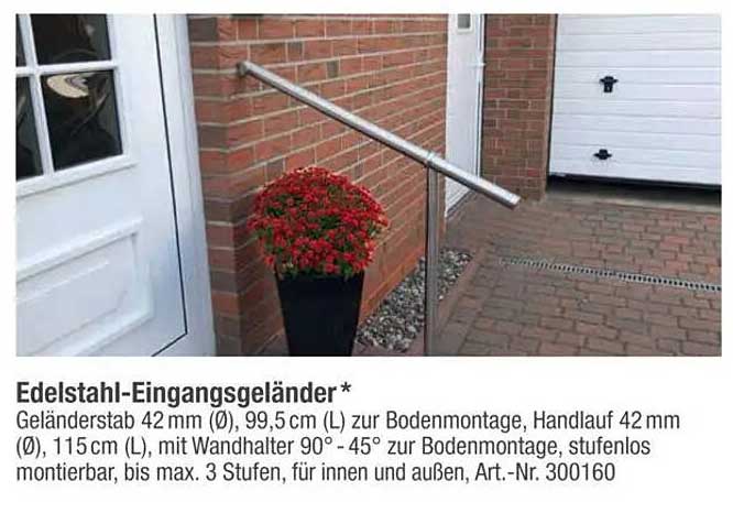 Edelstahl-Eingangsgeländer*