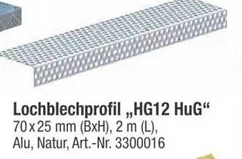 Lochblechprofil „HG12 HuG“