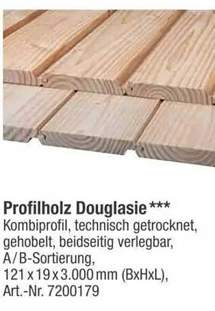 Profilholz Douglasie ***