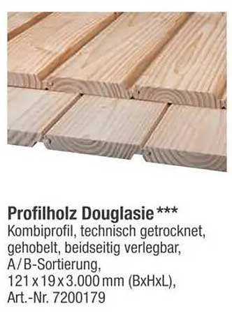 Profilholz Douglasie ***