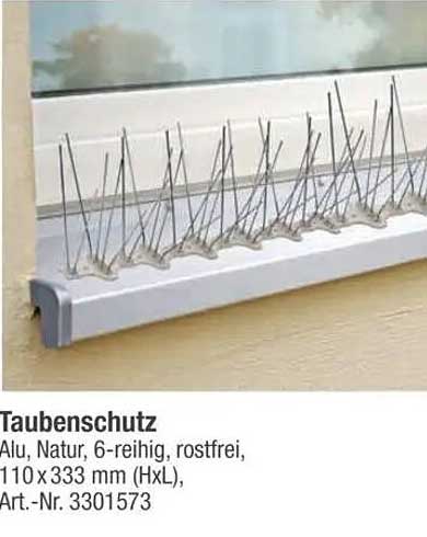 Taubenschutz