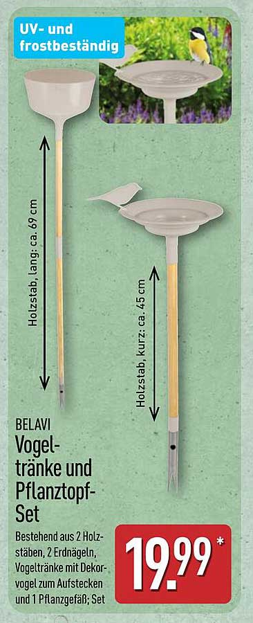 BELAVI Vogeltränke und Pflanztopf-Set