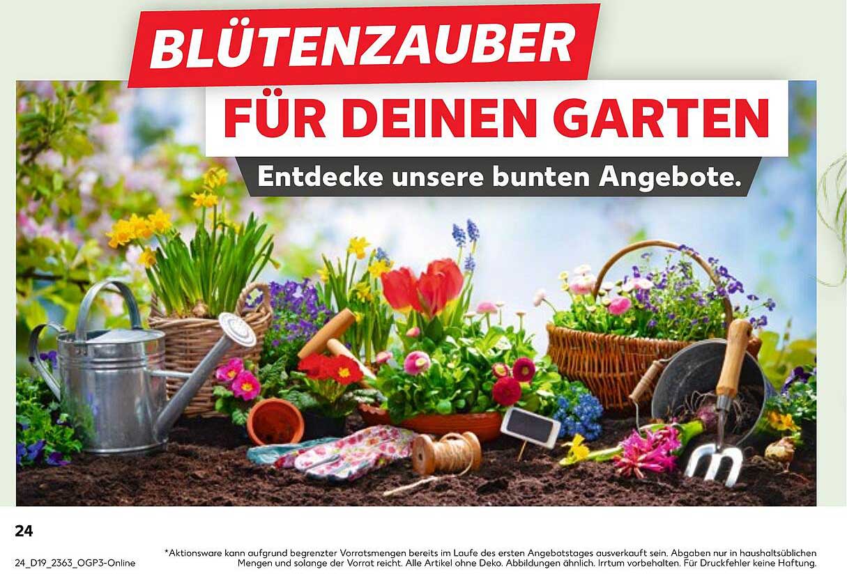 BLÜTENZAUBER FÜR DEINEN GARTEN