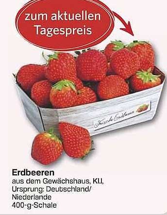 Erdbeeren aus dem Gewächshaus, KII, 400-g-Schale