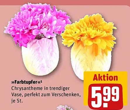 »Farbtupfer« Chrysantheme in trendiger Vase, perfekt zum Verschenken, je St.