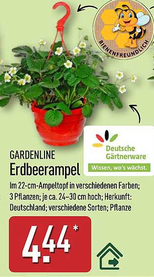 GARDENLINE Erdbeerampel