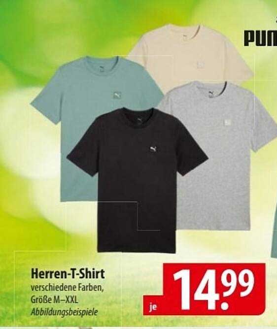 Herren-T-Shirt in verschiedenen Farben, Größe M–XXL