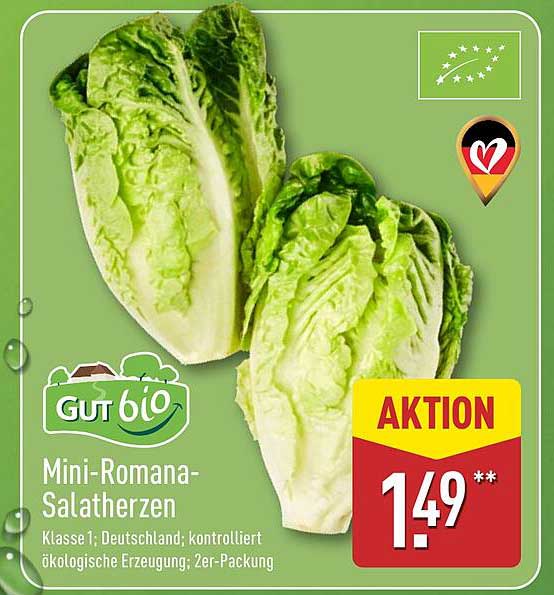 Mini-Romana-Salatherzen