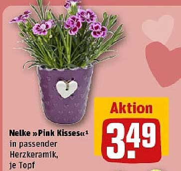 Nelke »Pink Kisses« in passender Herzkeramik, je Topf