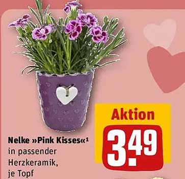 Nelke »Pink Kisses« in passender Herzkeramik, je Topf