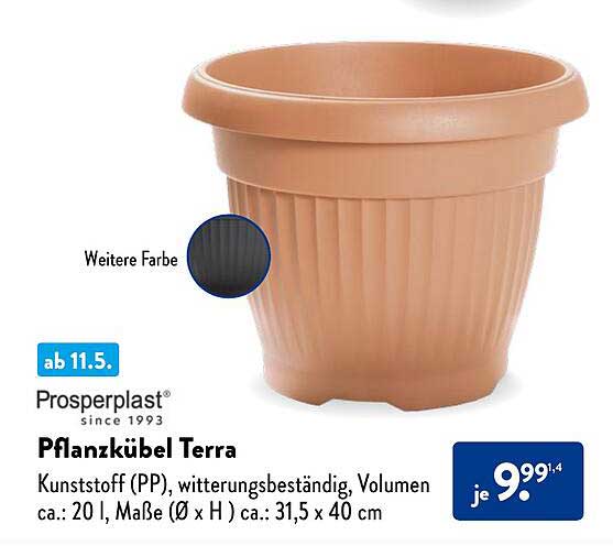 Pfanzkübel Terra von Prosperplast