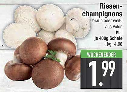 Riesen-champignons braun oder weiß, aus Polen Kl. I je 400g Schale