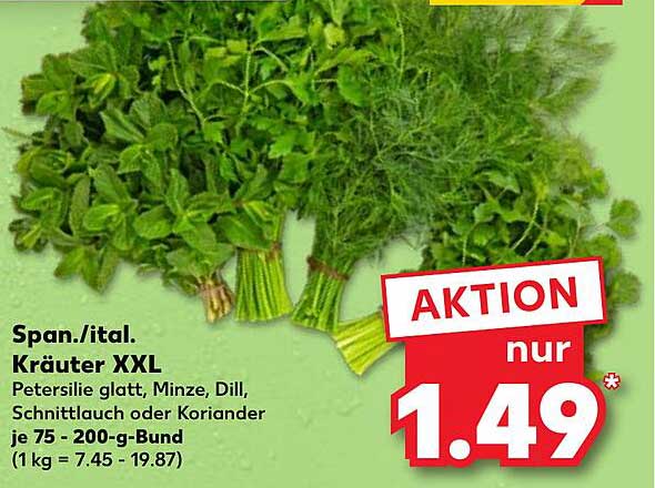 Span. it. Kräuter XXL - Petersilie, Minze, Dill, Schnittlauch oder Koriander