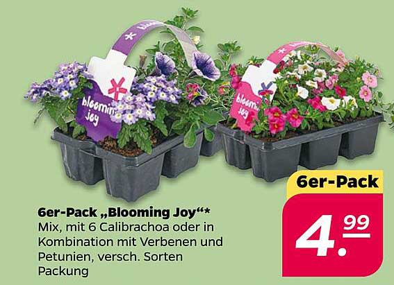 6er-Pack „Blooming Joy“* Mix, mit 6 Calibrachoa oder in Kombination mit Verbenen und Petunien, versch. Sorten Packung