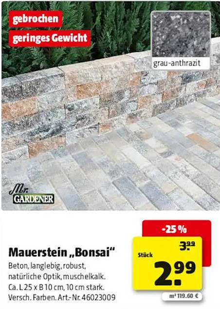 Mauerstein „Bonsai“