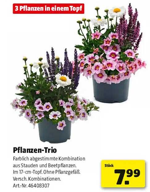 Pflanzen-Trio
