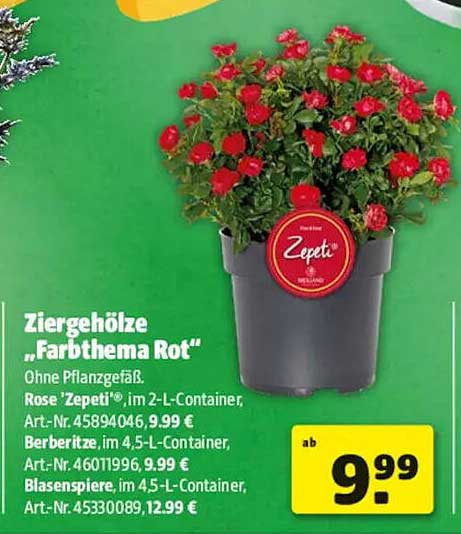Ziergehölze „Farbthema Rot“