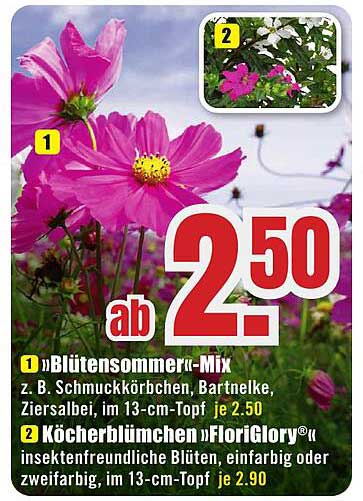 »Blütensommer«-Mix
