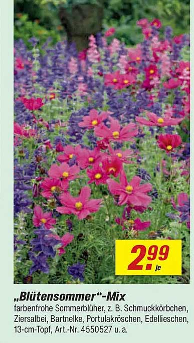 „Blütensommer“-Mix