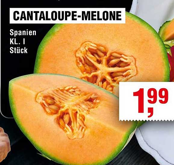 CANTALOUPE-MELONE