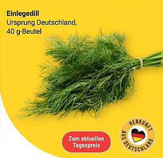 Einlegedill